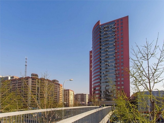 河南除尘活性炭厂家